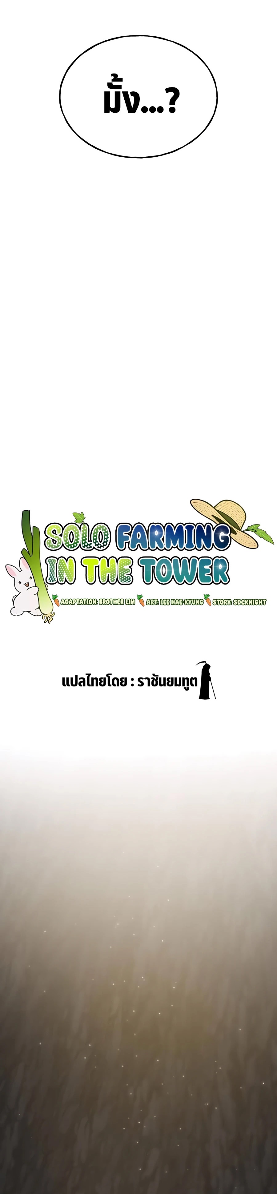 Solo Farming In The Tower 27.18